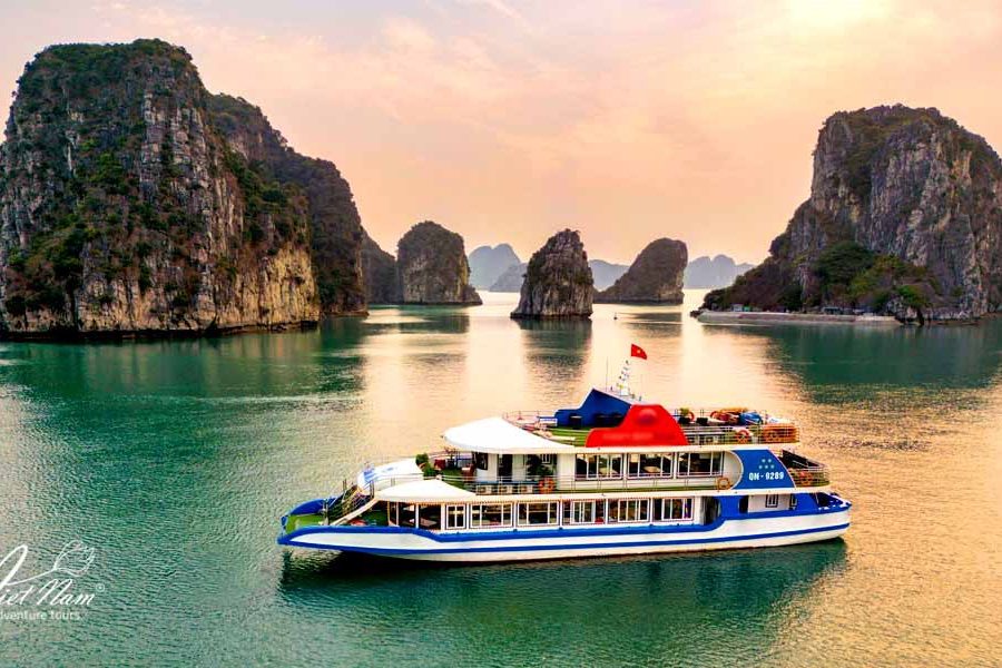 Ambassador Signature Cruise